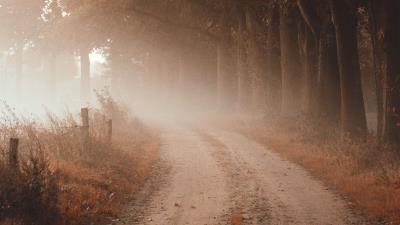 Road fog autumn image 4k wallpaper