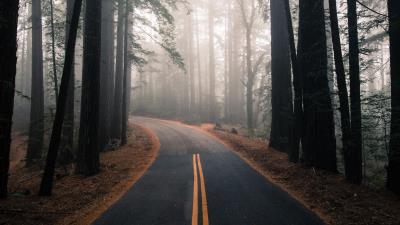 Road fog autumn 4k wallpaper