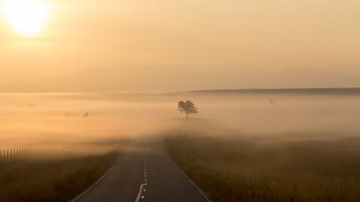 Road fog marking image 4k wallpaper