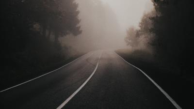 Road fog spruce 4k wallpaper