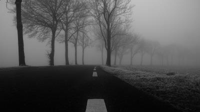 Road fog trees image 4k wallpaper