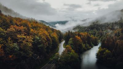 Road forest autumn image 4k wallpaper