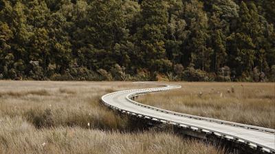 Road forest grass 4k wallpaper