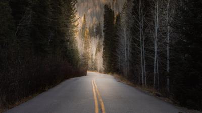 Road forest hill 4k wallpaper