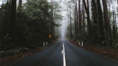 Road marking fog 4k wallpaper