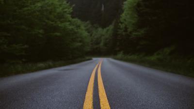 Road marking forest 4k wallpaper