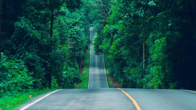 Road marking trees fff 4k wallpaper