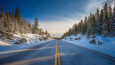 Road marking trees image 4k wallpaper