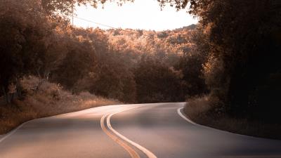 Road marking trees 4k wallpaper