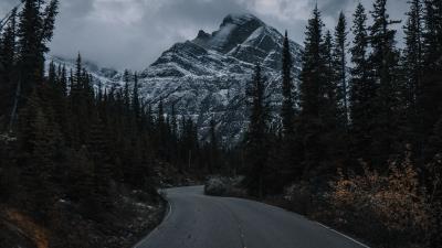Road mountain trees 4k wallpaper
