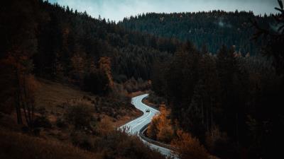 Road movement forest trees 4k wallpaper