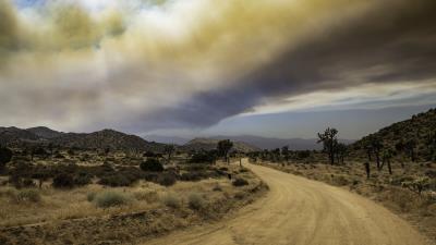 Road savannah bushes 4k wallpaper