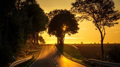 Road sunset climb trees 4k wallpaper