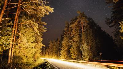 Road trees forest g 4k wallpaper