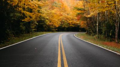 Road trees marking image 4k wallpaper