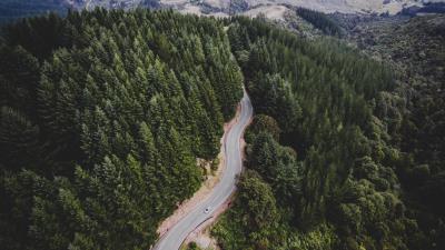 Road trees movement top view 4k wallpaper