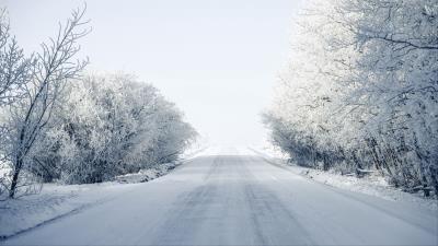Road trees snow image 4k wallpaper