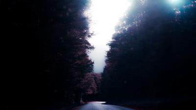 Road trees turn 4k wallpaper