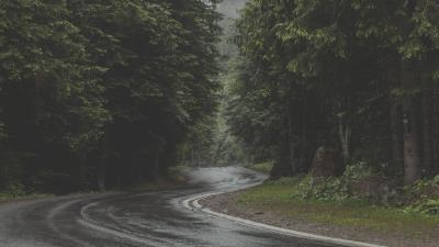 Road turn forest 4k wallpaper