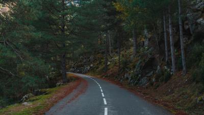 Road turn trees image 4k wallpaper