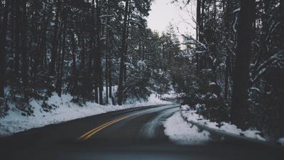 Road turn trees 4k wallpaper