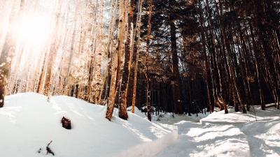 Road winter snow image 4k wallpaper