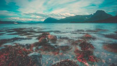 Rock coast sky 4k wallpaper