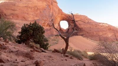 Rock desert trees 4k wallpaper