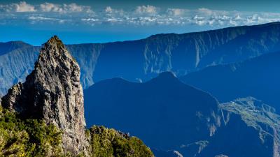 Rock peak plants 4k wallpaper