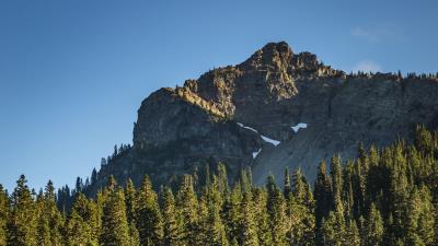 Rock river spruce 4k wallpaper