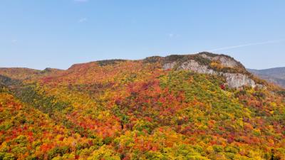 Rocks autumn trees 4k wallpaper