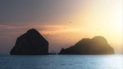 Rocks birds sea 4k wallpaper