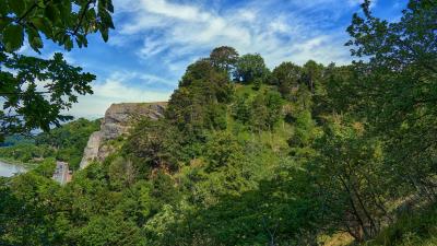 Rocks branches trees 4k wallpaper