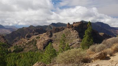 Rocks bushes relief 4k wallpaper