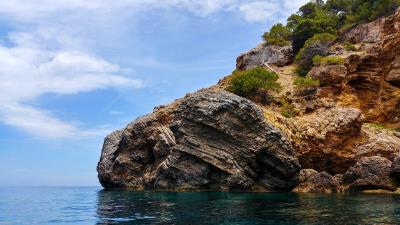 Rocks bushes sea 4k wallpaper