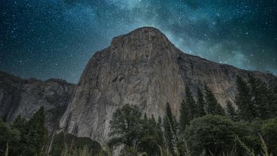 Rocks cliff trees 4k wallpaper