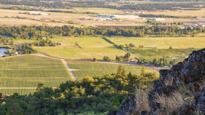 Rocks distance trees 4k wallpaper