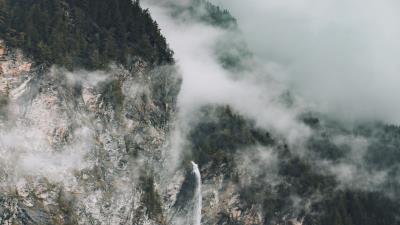 Rocks fog trees image 4k wallpaper