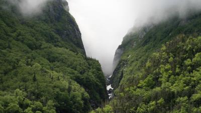 Rocks fog trees 4k wallpaper