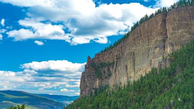 Rocks forest trees image 4k wallpaper