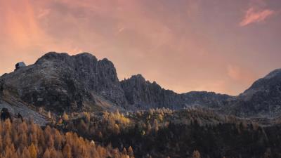 Rocks forest trees 4k wallpaper