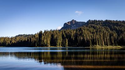 Rocks lake spruce 4k wallpaper