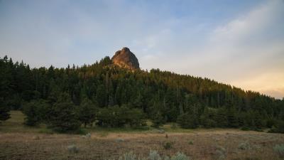 Rock spruce trees 4k wallpaper