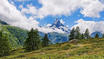 Rock trees slope 4k wallpaper