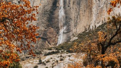 Rock waterfall trees 4k wallpaper