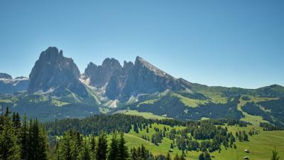 Rocks mountains spruce 4k wallpaper