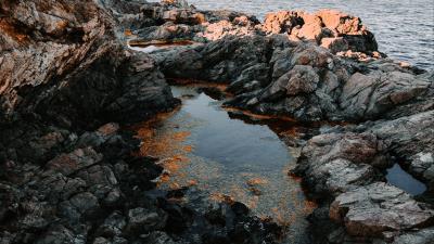 Rocks sea horizon image 4k wallpaper