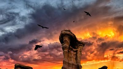 Rocks stone birds 4k wallpaper