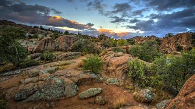 Rocks stones bushes 4k wallpaper