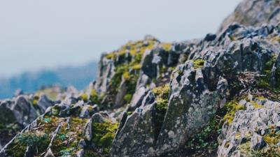 Rocks stones moss 4k wallpaper